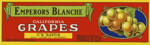 Emperors Blanche